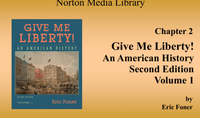 Chapter 19 give me liberty notes