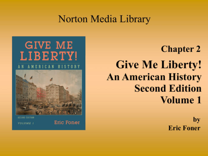 Chapter 19 give me liberty notes