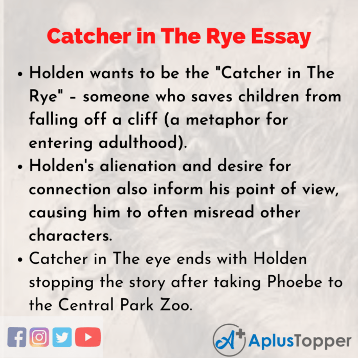 Catcher rye essay symbolism choose board paragraph analysis literature