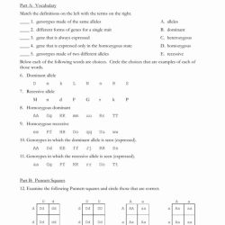 Monohybrid cross problems answer key