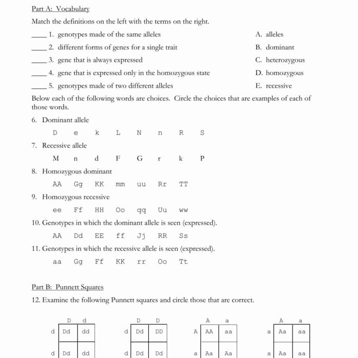 Monohybrid cross problems answer key