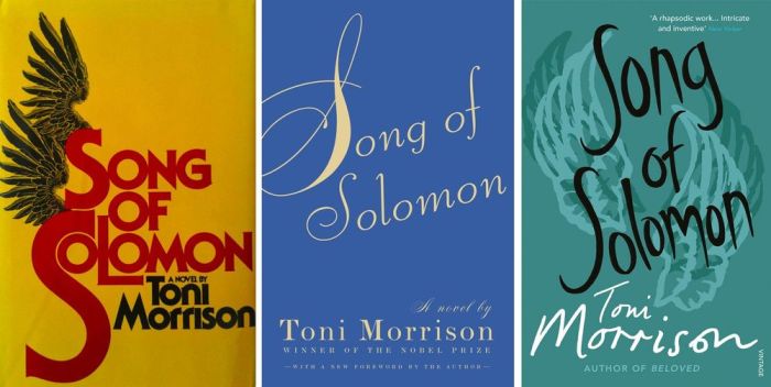 Toni morrison song of solomon quotes