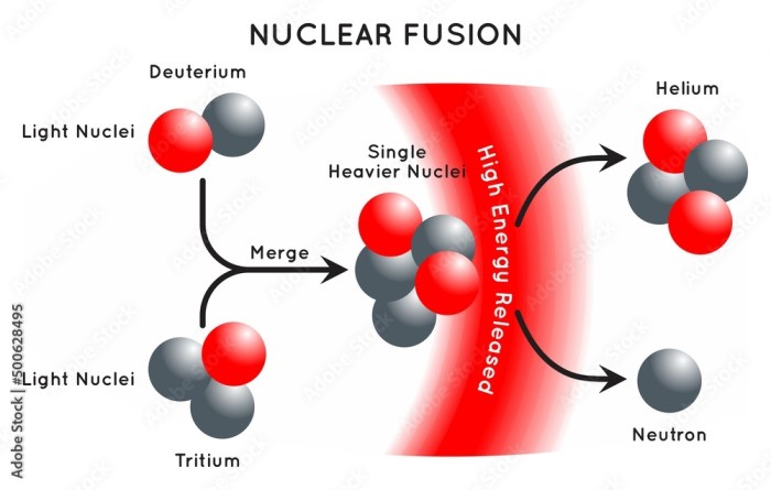 Choose the incorrect statement about the fusion process