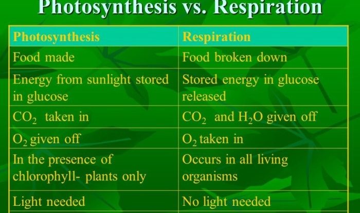 Photosynthesis vs cellular respiration venn diagram