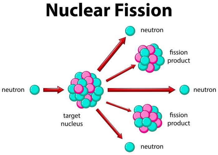 Choose the incorrect statement about the fusion process